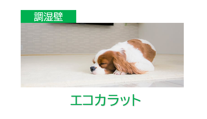 pet_link5